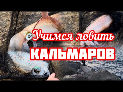 Видео: 276.Израиль.Кальмары-Каракатицы.Учимся ловить.5 ноября 2024 год