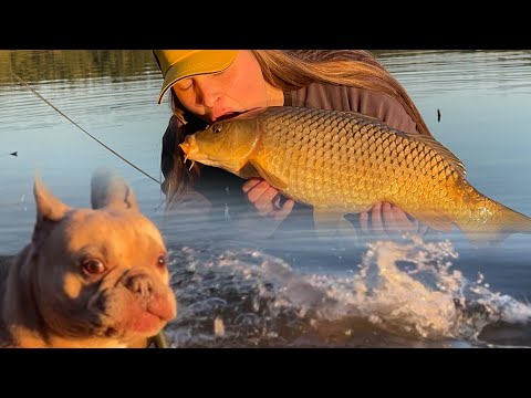 Видео: Carpfishing is my love. Ловля коропа не тільки з пригодами..😅
