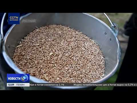 Видео: Впервые за более чем 30 лет в Армению по железной дороге прибыл груз транзитом через Азербайджан