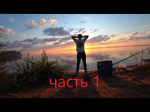 Видео: 🌍Ночная рыбалка на Вилейке Часть 1