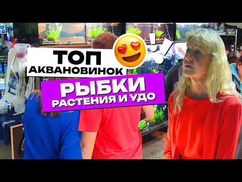 Видео: Выставка Аквариумистики! ТОП Новинки! Продажа аквариумных рыбок, растений! Aqua Expo 2024! 4К