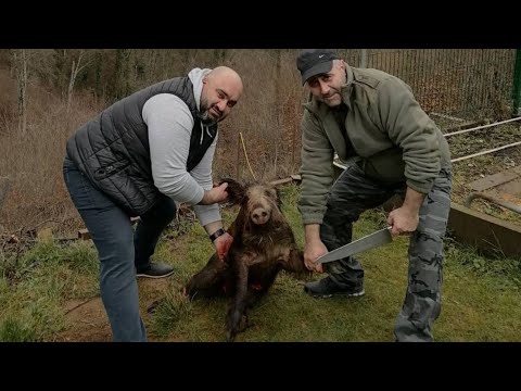 Видео: АРМЯНСКИЙ ЛЮЛЯ -КЕБАБ. ХАШЛАМА и ШАШЛЫК с ДИКОГО КАБАНА и КОСУЛИ.