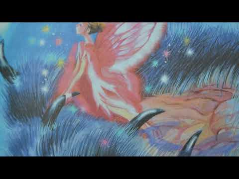 Видео: Чарская Лидия_3