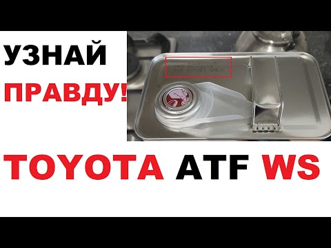 Видео: Отличия Toyota ATF WS в 2025 году.