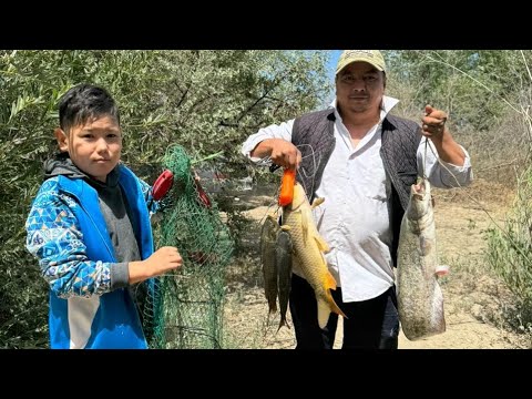 Видео: СЫРДАРИЯ СУ КӨП, ШЛЮЗДЕР ТОЛЫҚ АШЫҚ, ДАУЫЛДЫ КҮНІ БАЛЫҚ АУЛАУ