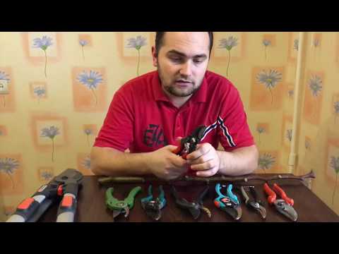 Видео: Какой секатор выбрать