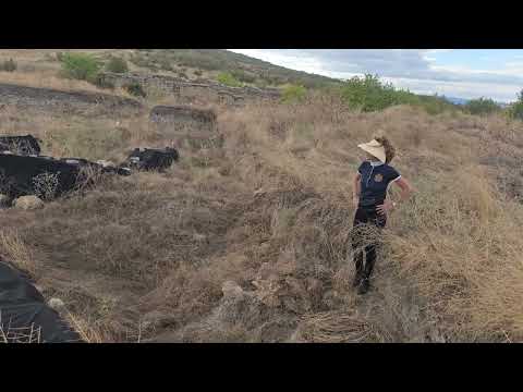 Видео: Кабиле - нещо като спомен от римско време