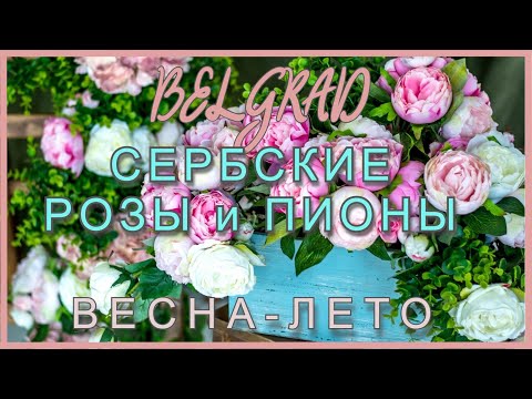 Видео: РЕЖЕМ ПИОНЫ И СЕРБСКИЕ РОЗЫ. Смена сезонов в саду под Белградом