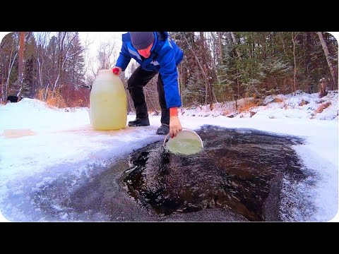 Видео: Зимние дела в деревне. Проживем без магазинов