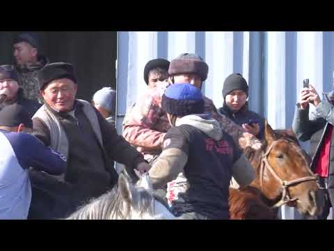 Видео: Улак Кыргызстан Ош Жаны-Арык Бакы балбан 2024