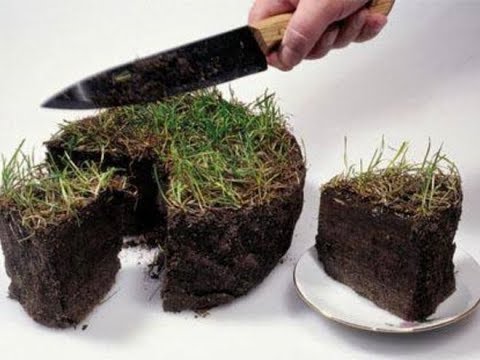 Видео: У Бреусівці відбирають селянські наділи