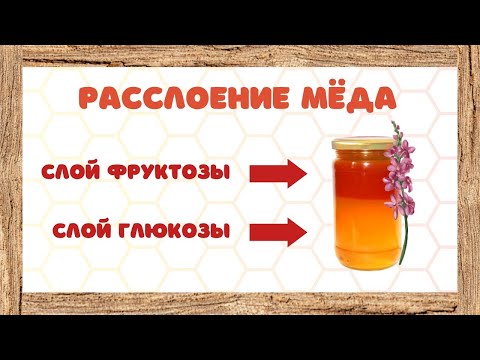 Видео: Почему расслаивается мёд
