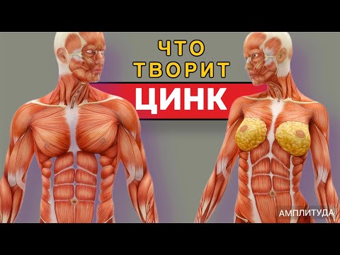 Видео: Что будет если принимать ЦИНК каждый день ?  Можно ли ?!