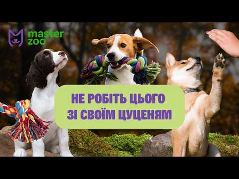 Видео: Найчастіші помилки у вихованні цуценят: догляд та харчування
