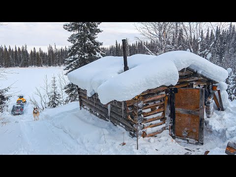 Видео: ЗАНОЧЕВАЛ В СТАРОЙ ПРОГНИВШЕЙ ИЗБЕ. ТАЙГА КОРМИТ. УЧЕТ ЗВЕРЯ.