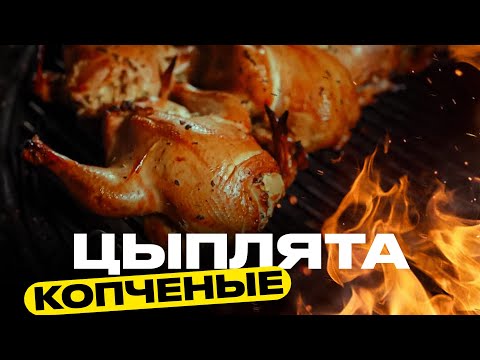 Видео: Справится даже ребенок! Кидай цыплят на гриль!