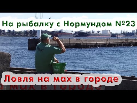 Видео: Ловля на маховую удочку в городе : На рыбалку с Нормундом #23