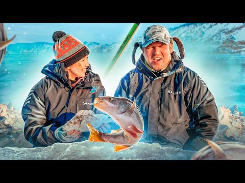 Видео: Чуланов с Вероникой нашли окуней! Ловля на балансиры | Рыбинское водохранилище