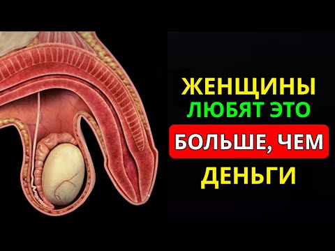 Видео: Почему Женщины Тайно Любят Эти 6 Вещей Больше, Чем Деньги | Стоицизм