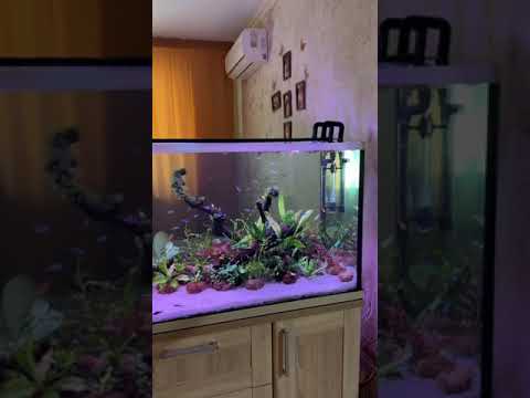 Видео: Видео отзыв на светильник  FLOS PRO 1200 WRGB 120 -160 см 84W, IP68