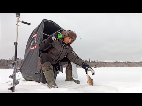 Видео: САНКИ-ПАЛАТКА ДЛЯ ЗИМНЕЙ РЫБАЛКИ. БЮДЖЕТНО И КОМФОРТНО