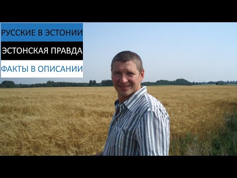 Видео: Жизнь в Эстонии. Правда о бизнесе, проверках, дискриминации, эстонском языке и сером паспорте