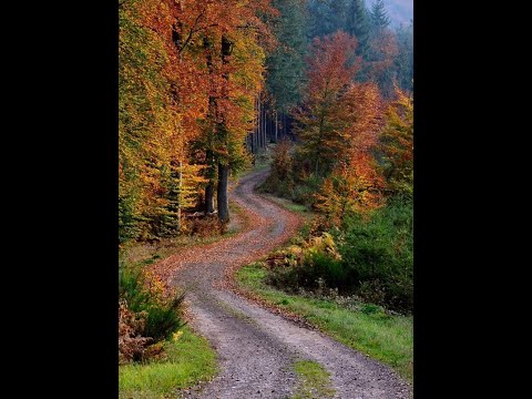 Видео: 14 ноября.