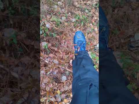 Видео: Зумеры в шоке 😀 #лес #грибы #магия #стезяправи