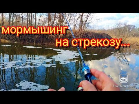 Видео: Мормышинг.Весна и первые рыбки...