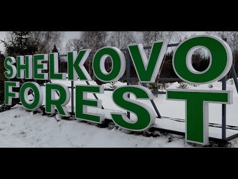 Видео: КП Шелково Форест