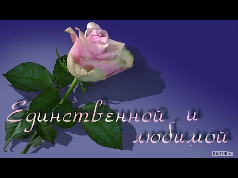 Видео: Я люблю тебя солнышко