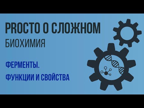 Видео: PROСТО О СЛОЖНОМ  Ферменты, Биохимия №7
