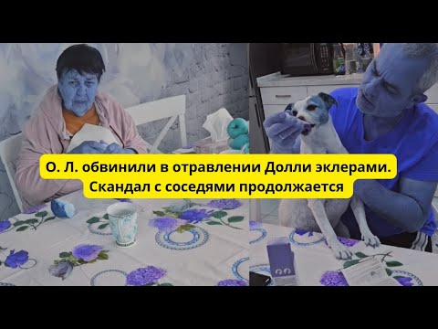 Видео: О.Л. виновата. Соседи жалуются, собаки гадят возле ворот соседей #андрейисветланасытники