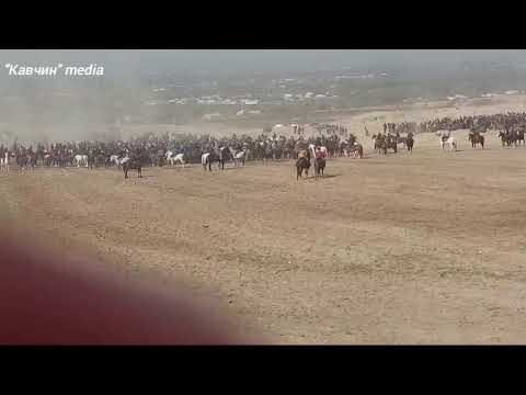 Видео: 09.11.2024 🐎бузкаши 🐎НОХИЯИ КАБАДИÉН