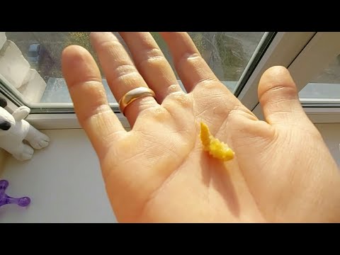 Видео: Зофобас, как легко развести. ЭТАП#2