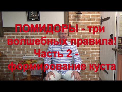 Видео: 65. ПОМИДОРЫ - три волшебных правила! Часть 2 - формирование куста. Пасынки, обрезка листьев.