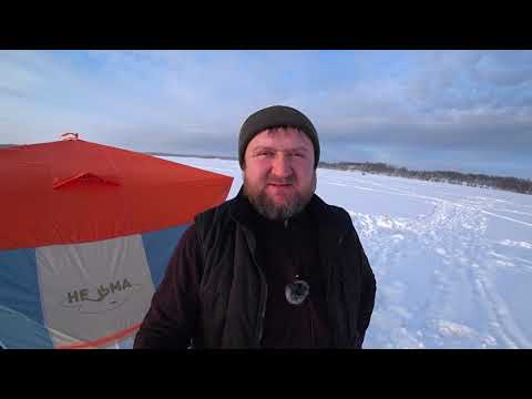 Видео: Матушка Волга! Энергетик !