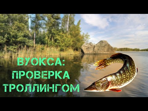 Видео: Рыбалка троллингом на Вуоксе — проверяем уловистые места
