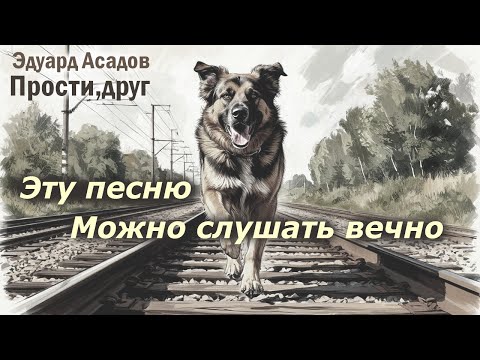 Видео: Эдуард Асадов | Прощай, друг - песня от которой проступают слёзы | Стихи о рыжей дворняге