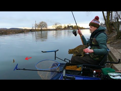 Видео: На рибалці з котом😂 Рибалка 2020рік, Бурштинський канал