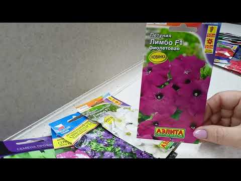 Видео: Для этих петуний подойдут кашпо от 3 до 5 литров.12 декабря 2021г