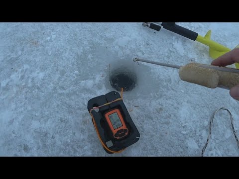 Видео: СТАРИННАЯ УДОЧКА нашла РЫБУ...Они в траве!!! Рыбалка 2023-2024