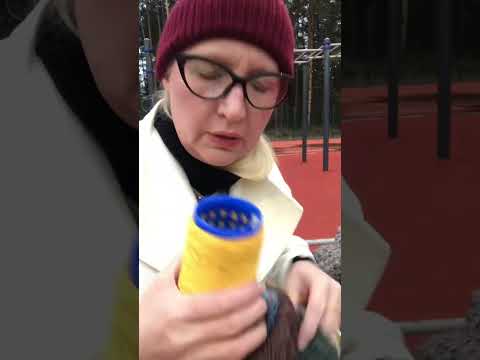 Видео: 11 ноября 2025 г.