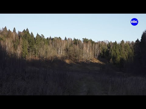 Видео: Место силы вблизи Наро-Фоминска