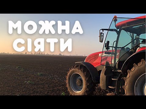 Видео: ПОСІВНА РОЗПОЧАЛАСЯ В ЛИСТОПАДІ 🌱  ЩО З ЦЬОГО ВИЙДЕ ?