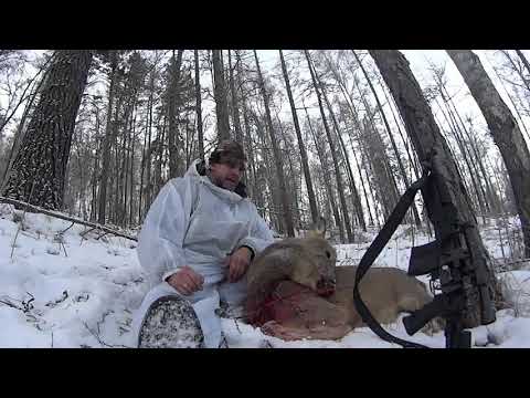 Видео: 9.6 x 53 lancaster охота на Косулю