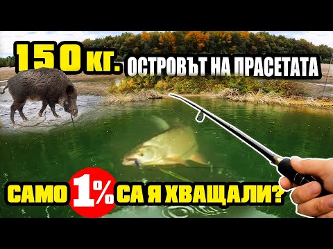 Видео: КАК СЕ ЛОВИ ГЛИГАН ОТ ЛОДКА? ЩЕШЕ ДА СЕ УДАВИ за ПАРИ!!!Риболов на Распер на река Дунав