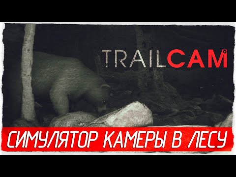 Видео: СИМУЛЯТОР КАМЕРЫ В ЛЕСУ - TRAILCAM [Обзор / Первый взгляд]