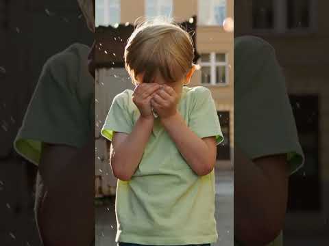 Видео: YAR - Всё решают деньги