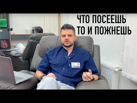 Видео: Правило Д. Хебба. Как правильно использовать осознанность на пути к новой версии себя.